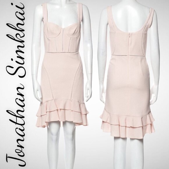 JONATHAN SIMKHAI Powder Pink Bustier Ruffle Wool Blend Mini Dress, Size 4 - Picture 2 of 10